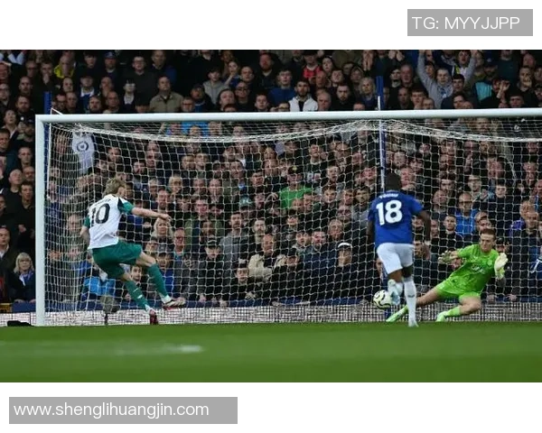 纽卡斯尔在英超联赛对阵埃弗顿的竞赛中或许采纳的阵型